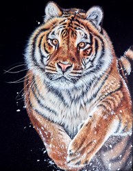 Run Through the Snow by Gina Hawkshaw - Original Painting on Stretched Canvas sized 28x36 inches. Available from Whitewall Galleries