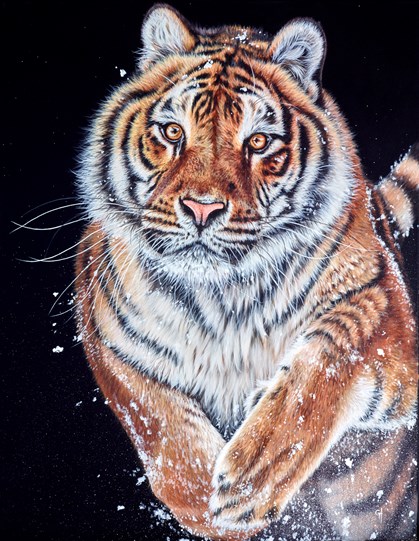 Run Through the Snow by Gina Hawkshaw - Original Painting on Stretched Canvas